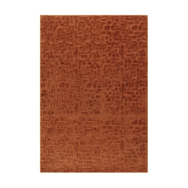 Preproga v barvi terakote 200x290 cm – Asiatic Carpets
