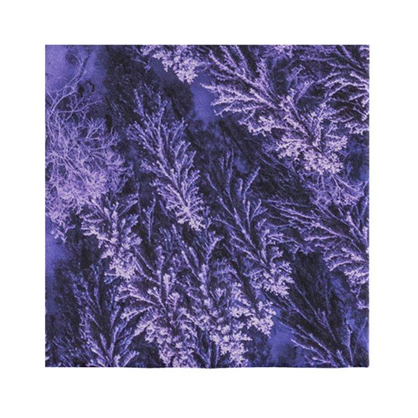 Vijolična preproga Oyo home Suzzo Flower, 140 x 220 cm-image-3