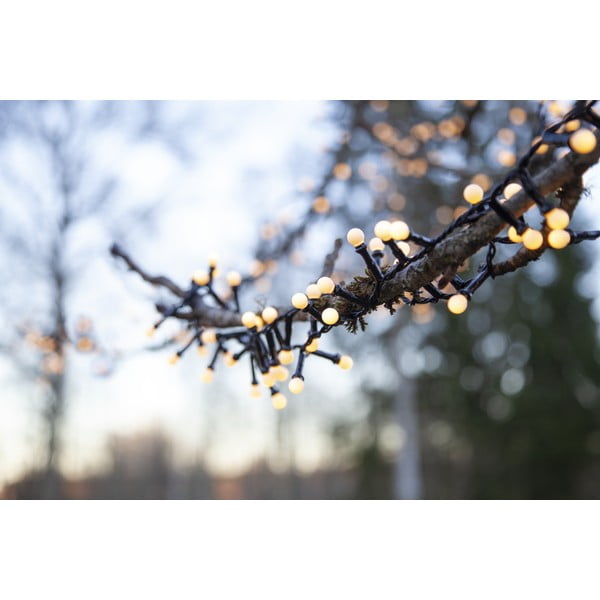 Zunanja LED svetlobna veriga Star Trading Berry Mini, dolžina6 m-image-3