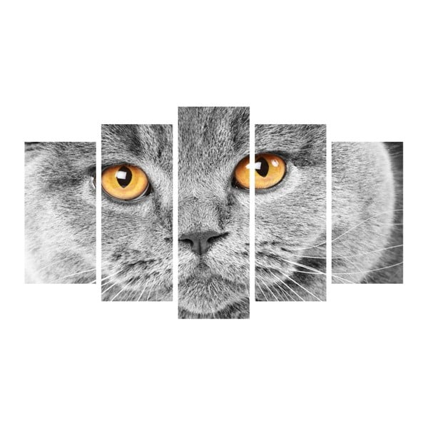 Insigne Mačje oči, večdelna slika, 102 x 60 cm