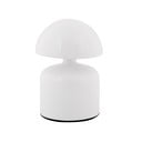 Bela LED namizna svetilka s kovinskim senčilom (višina 14 cm) Impetu – Leitmotiv