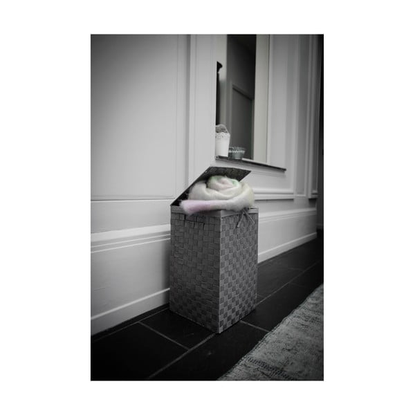 Tekstilni koš za perilo 45 l Stan – Compactor-image-3