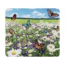 Stenska zaščitna plošča za štedilnik iz kaljenega stekla 50x56 cm – Maximex