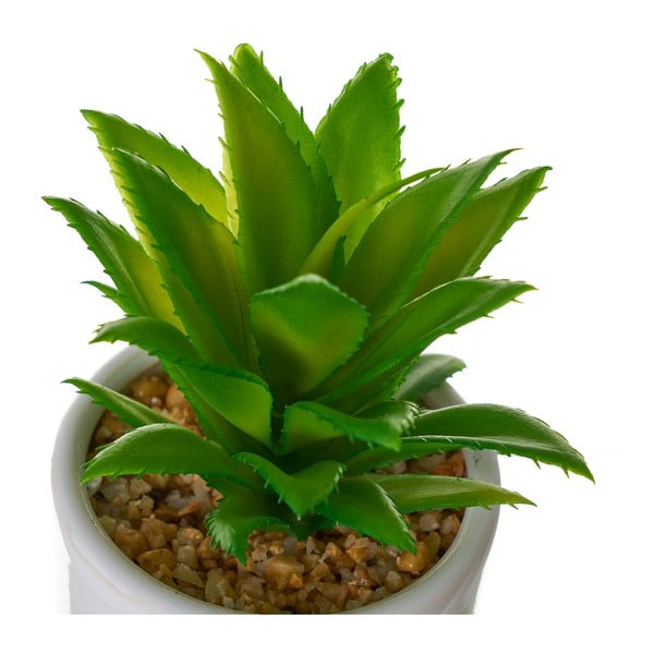 Umetne rastline v kompletu 4 ks Cactus – Casa Selección-image-3