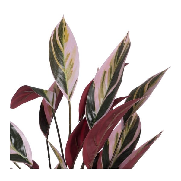 Umetna rastlina (višina 55 cm) Bird of Paradise – Ixia-image-1