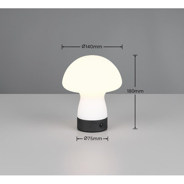 Mat bela LED namizna svetilka s steklenim senčilom (višina 18 cm) Dooley – Reality-image-4