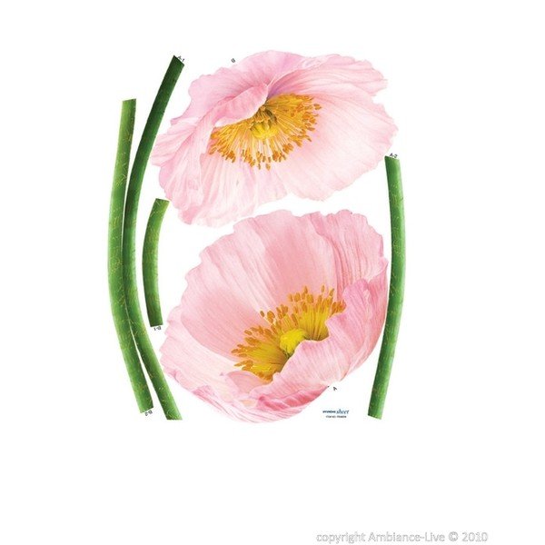 Nalepka Pink Poppy Flowers-image-1