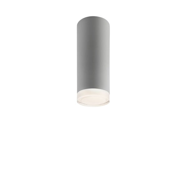 Siva stropna svetilka s steklenim senčnikom - LAMKUR