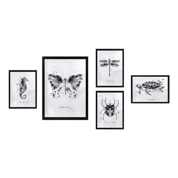 Slike v kompletu 5 kos Butterfly - Wallity