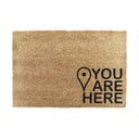 Predpražnik iz kokosovih vlaken 40x60 cm You Are Here – Artsy Doormats