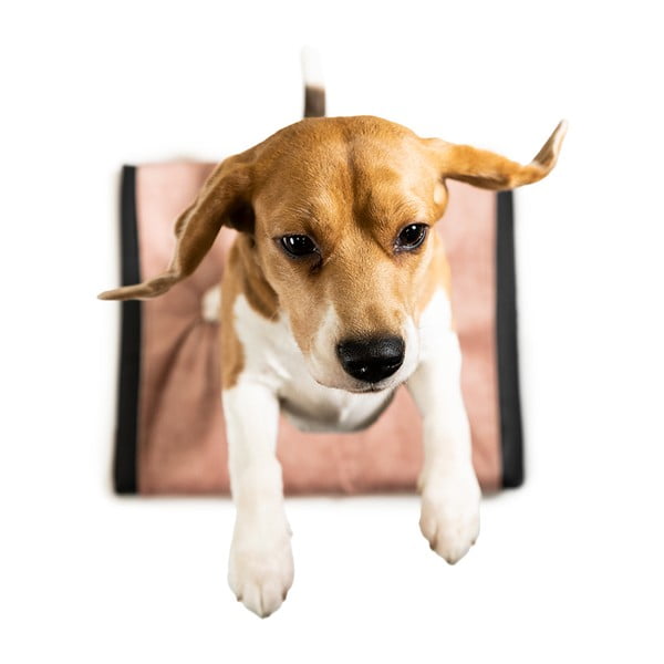 Svetlo rožnata prevleka za ležišče za pse 90x70 cm Ori XL – Rexproduct-image-4