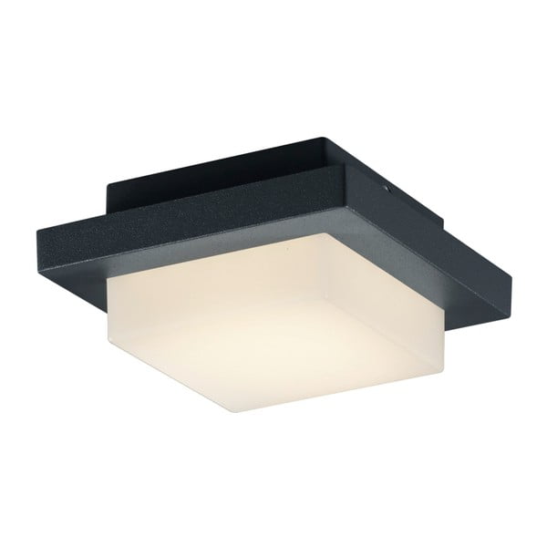 LED stenska zunanja svetilka (višina 14 cm) Hondo – Trio-image-4
