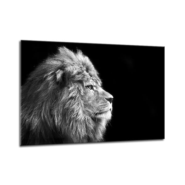 Slika Styler Glasspik Platno Živali Lev, 70 x 100 cm
