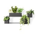 Plastični viseči cvetlični lonci za zelišča v kompletu 4 ks Cubiko – Umbra