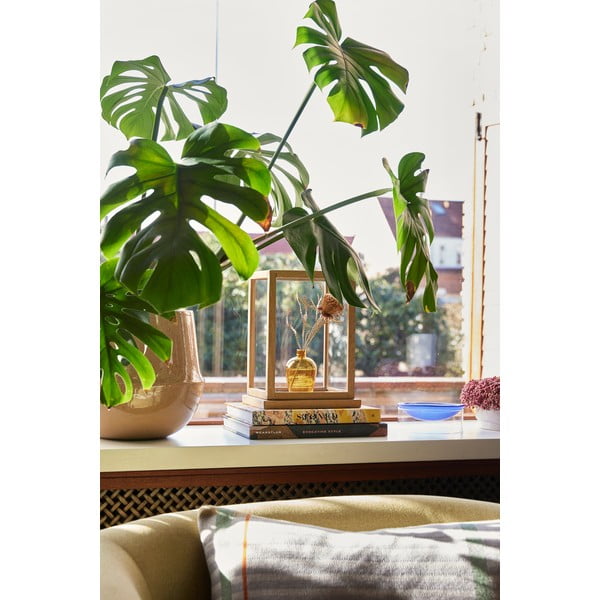 Keramični podstavki za cvetlične lonce v kompletu 2 ks ø 31 cm Vibe – Hübsch-image-4