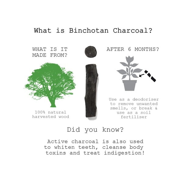 Binchotan vodni filter Black + Blum Eau Good, 1 kos-image-1