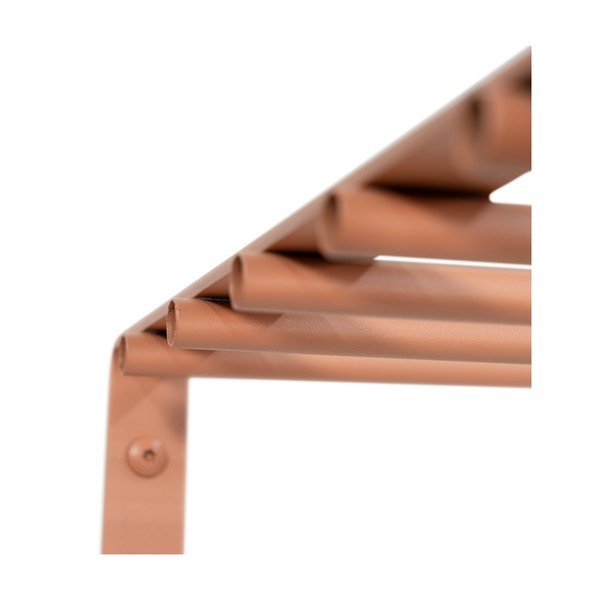 Rožnato-oranžen kovinski stenski obešalnik s polico 100 cm Rex – Spinder Design-image-3