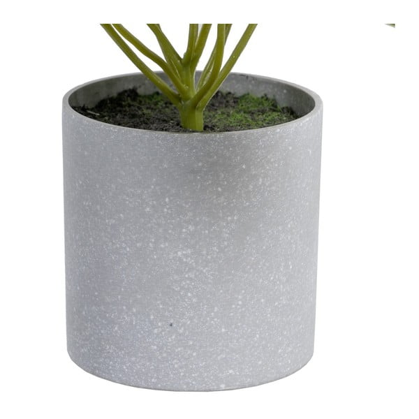 Umetna rastlina (višina 21 cm) Syngonium – Ixia-image-1