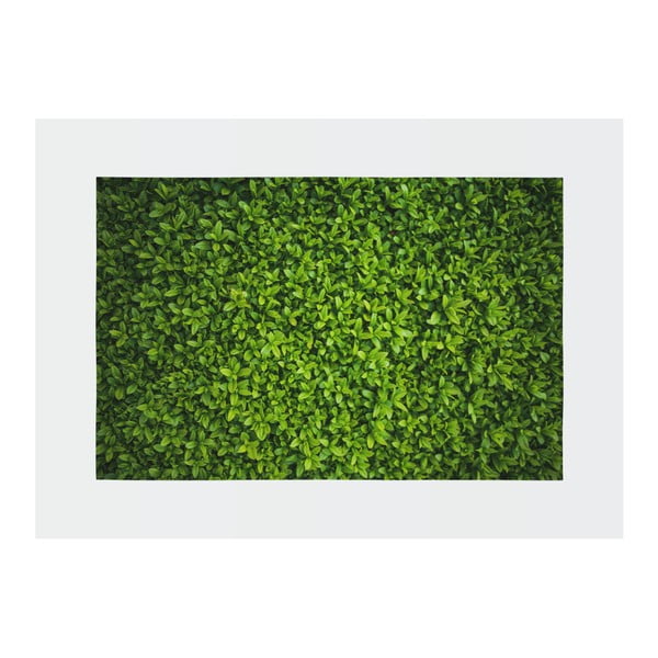 Zelena preproga Oyo home Suzzo Grass, 140 x 220 cm-image-2