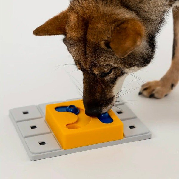 Interaktivna igrača za pse Kaya – Pawzler-image-2