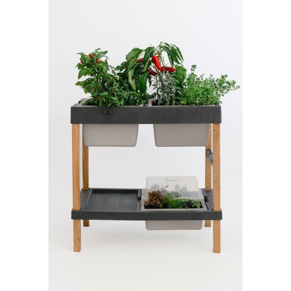 Visoka greda – Plastia-image-4