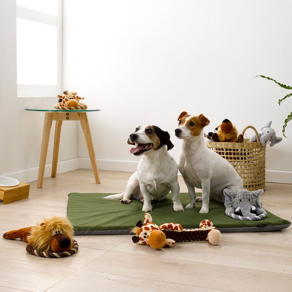 Igrača za pse – Love Story-image-1