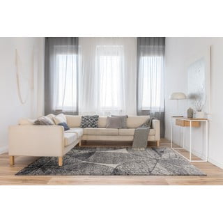 Siva preproga 160x230 cm Lush – FD