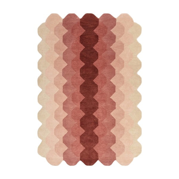 Rožnata volnena preproga 160x230 cm Hive – Asiatic Carpets
