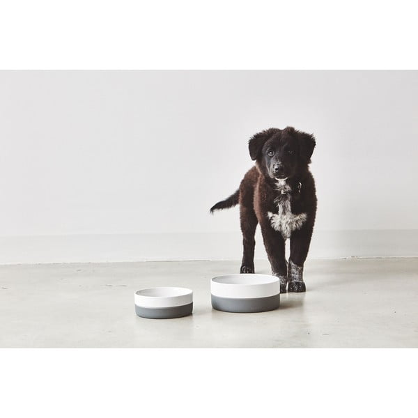 Porcelanasta posoda za hrano za pse ø 21,5 cm Coppa Slate M/L – MiaCara-image-1