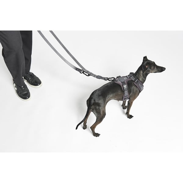 Bež preklopni povodec dolžina 200 cm Modena Greige 20 mm – MiaCara-image-1