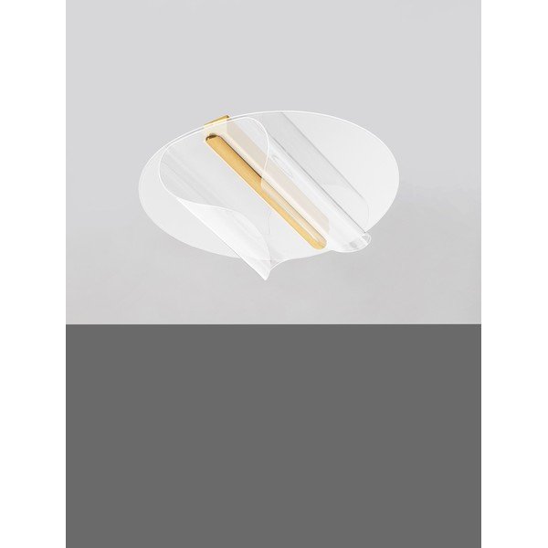 Aluminijasta LED zatemnitvena stropna svetilka v zlati barvi 55x45 cm Valentin – Nova Luce-image-3
