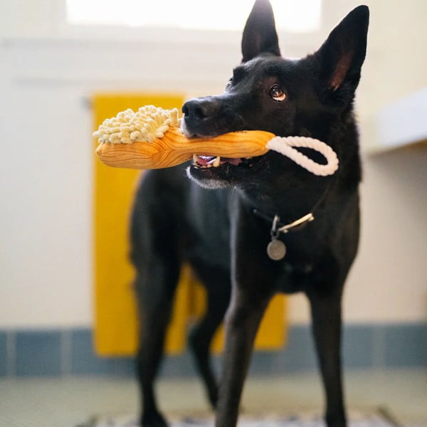 Pasja igrača Brush – P.L.A.Y.-image-1