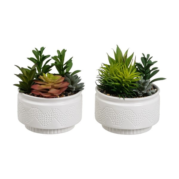 Umetne rastline v kompletu 2 ks (višina 19 cm) Cactus – Casa Selección