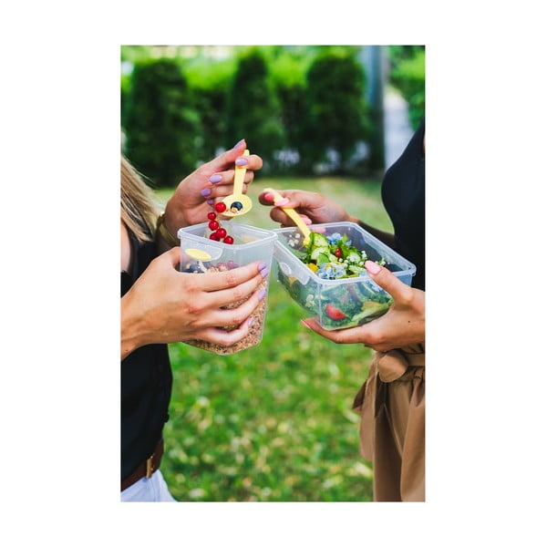 Zelena posoda za malico in kosilo z jedilnim priborom, Vialli Design, 650ml+230m-image-3