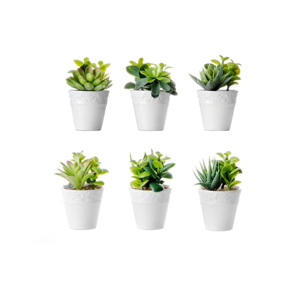 Umetne rastline v kompletu 6 ks (višina 11 cm) – Casa Selección