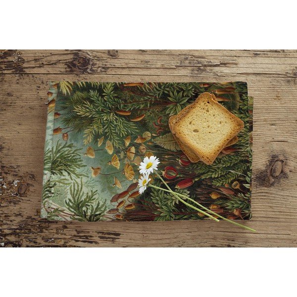 Kuhinjska krpa 43x64 cm Deep Forest – Madre Selva-image-1