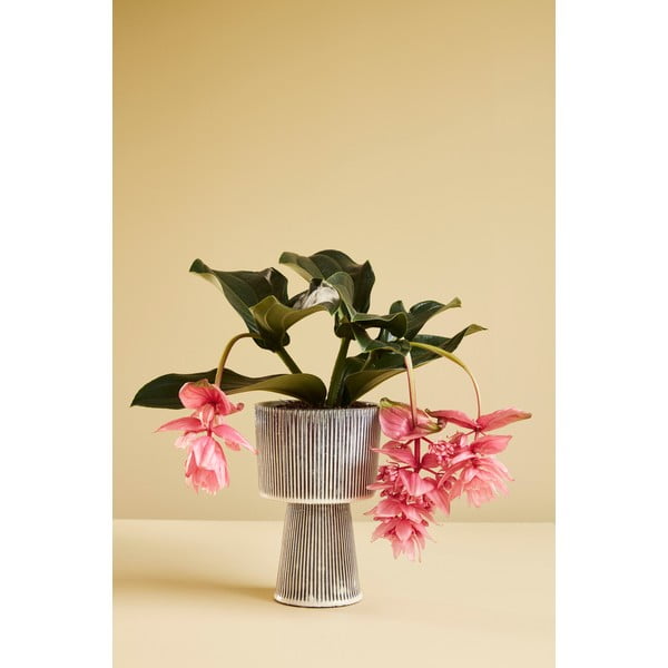 Komplet 2 črno-belih keramičnih cvetličnih loncev Hübsch Pot-image-4