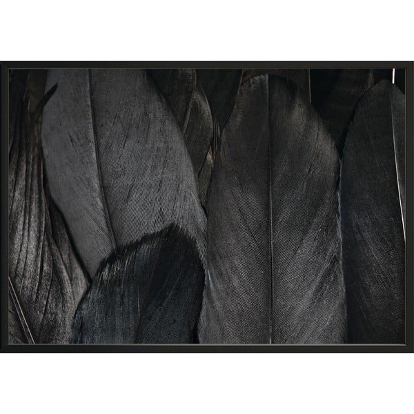 Plakat DecoKing Feathers Black, 50 x 40 cm