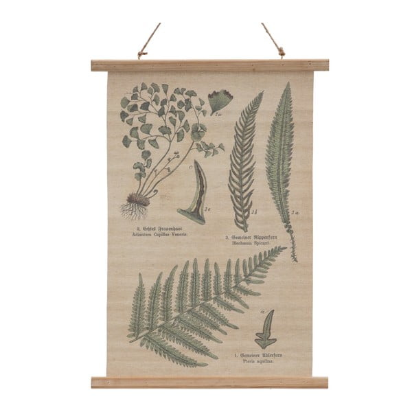 Tapiserija 50x70 cm Fern – Ixia