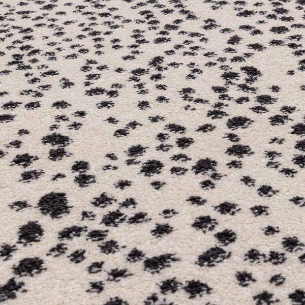 Črna/bela preproga 160x230 cm Muse – Asiatic Carpets-image-2