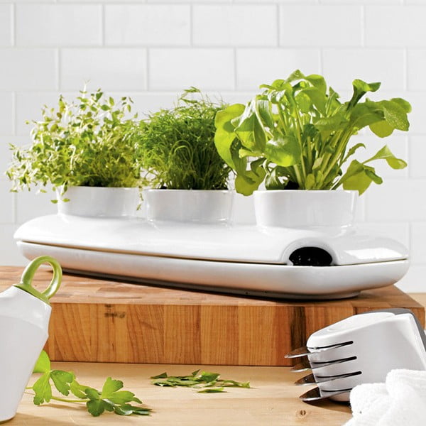 Lonec za zelišča Sagaform Duo Herb-image-1