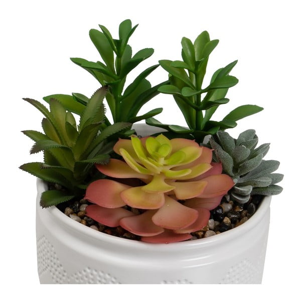 Umetne rastline v kompletu 2 ks (višina 19 cm) Cactus – Casa Selección-image-3