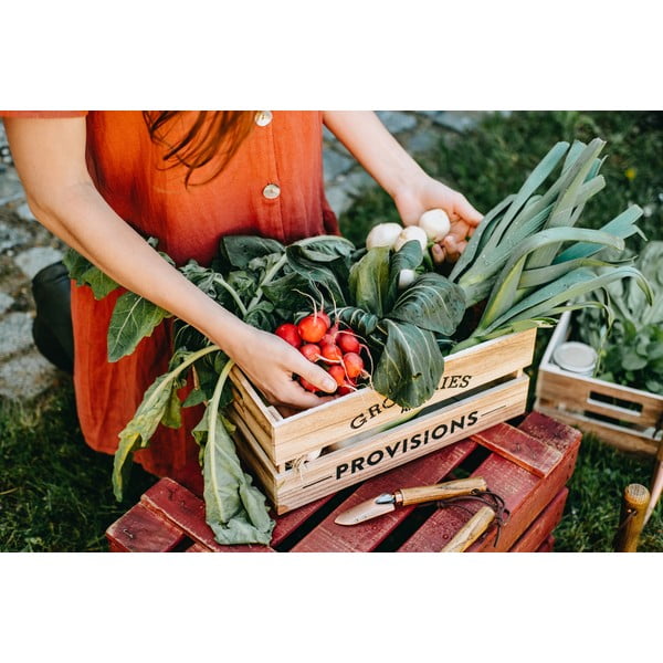 Set vrtnega orodja iz jesenovega lesa Esschert Design Equal-image-2