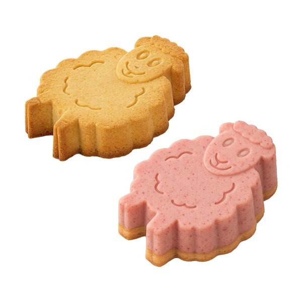 Silikonski model 20x16 cm Statek – Orion-image-1