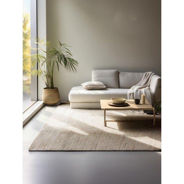 Obojestranska/ročno tkana preproga iz mešanice jute v svetli naravni barvi 160x230 cm Dhaka – Hanse Home-image-1