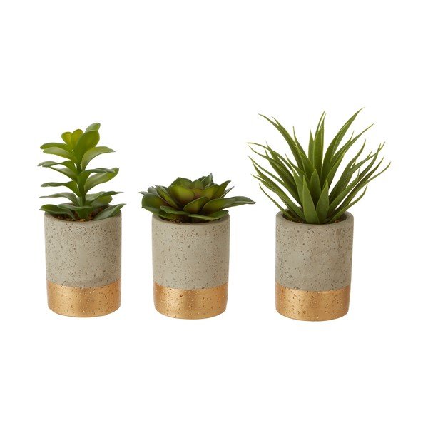 Komplet 3 sukulent v keramičnem lončku Premier Housewares Fiori-image-1