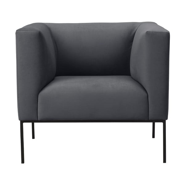 Temno siv fotelj Windsor & Co Sofas Neptune