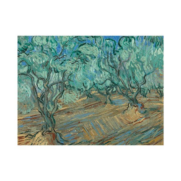 Vincent van Gogh - Oljčni nasad, 50x30 cm