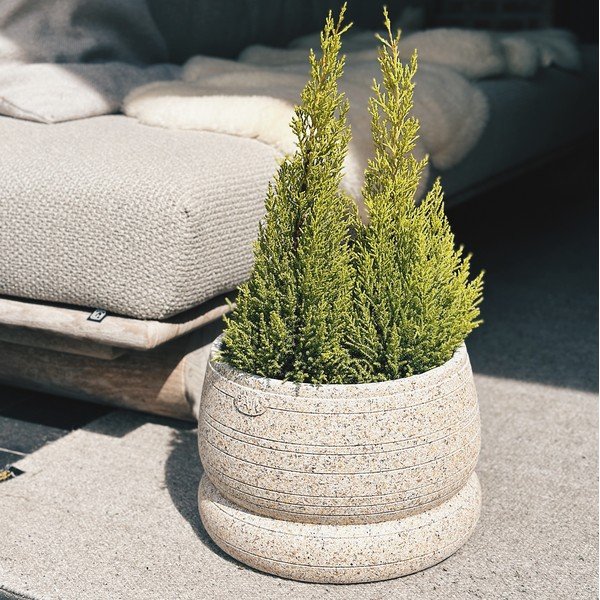 Betonski okrasni cvetlični lonec ø 35 cm Bubble Bill – Paju Design-image-4