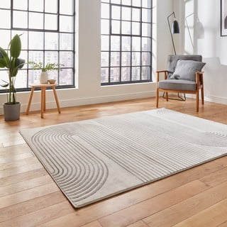 Svetlo siva/kremno bela preproga 80x150 cm Apollo – Think Rugs